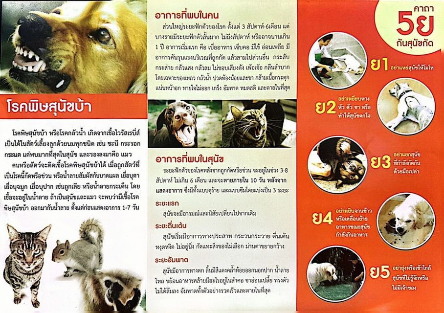 🐕 ' โรคพิษสุนัขบ้า ' 
โรคติดเชื้อร้ายแรงจากสัตว์สู่คน และคร่าชีวิตผู้ป่วยเกือบทุกราย แม้เป็นโรคที่ไม่มีทางรักษา แต่ยังมีหนทางป้องกันได้ ด้วย " วัคซีน" 💉 
# ด้วยความปราถนาดี : งานสาธารณสุขและสิ่งแวดล้อมเทศบาลตำบลวังใหม่